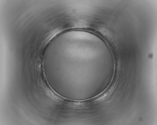 X0000093591401200710291112