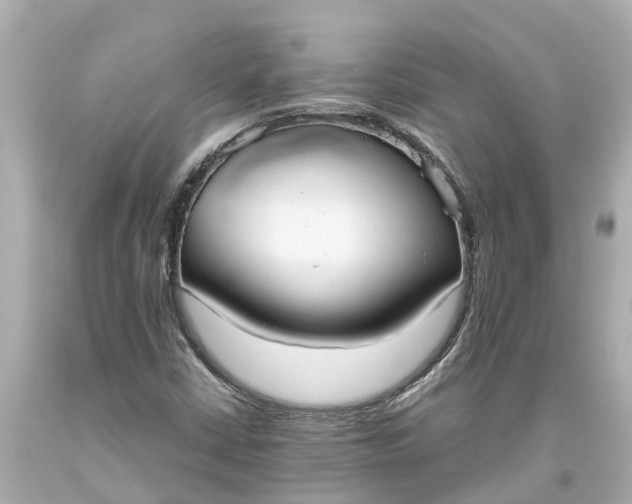 X0000093591402200710291112