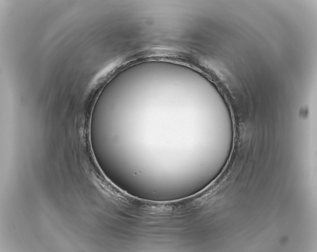 X0000093591403200710291112