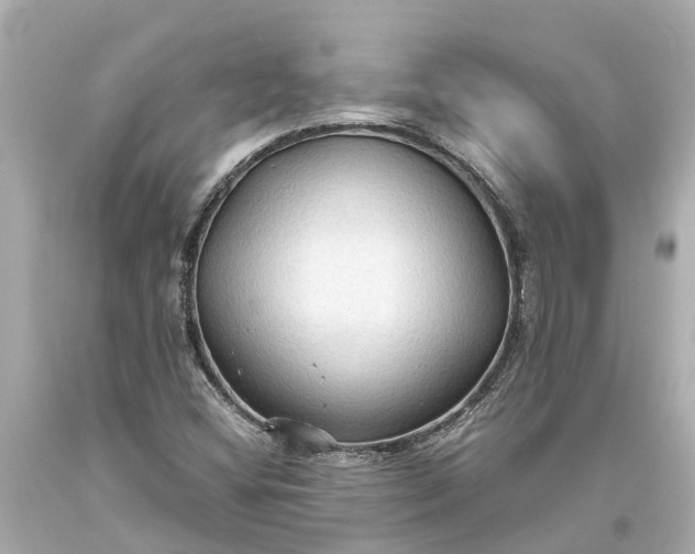 X0000093591404200710291112