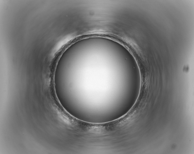 X0000093591406200710291112