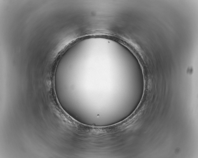 X0000093591407200710291112