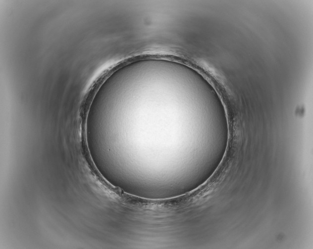 X0000093591408200710291112