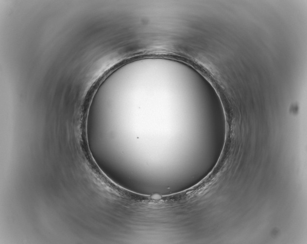 X0000093591410200710291112
