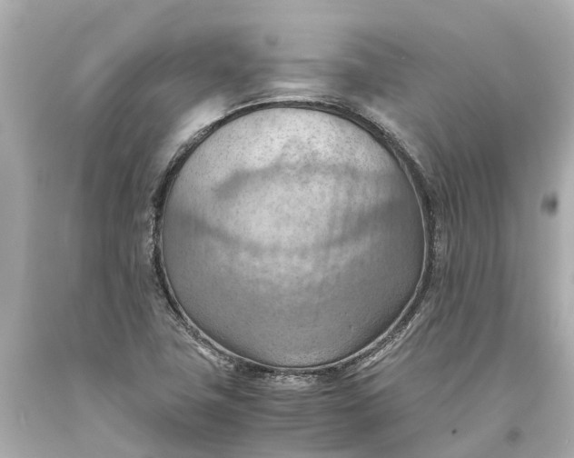 X0000093591411200710291112