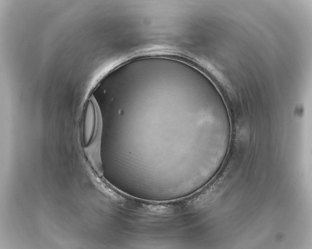 X0000093591413200710291112