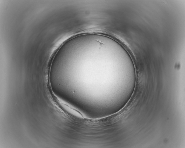 X0000093591415200710291112
