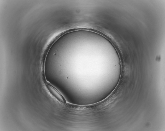 X0000093591416200710291112
