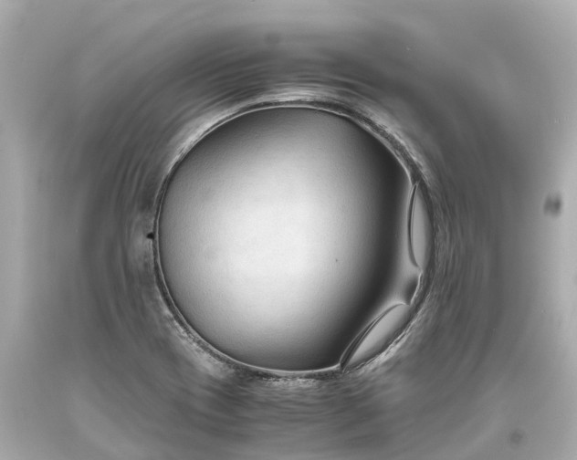 X0000093591417200710291112