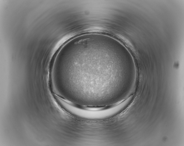 X0000093591418200710291112