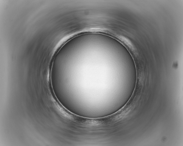 X0000093591420200710291113