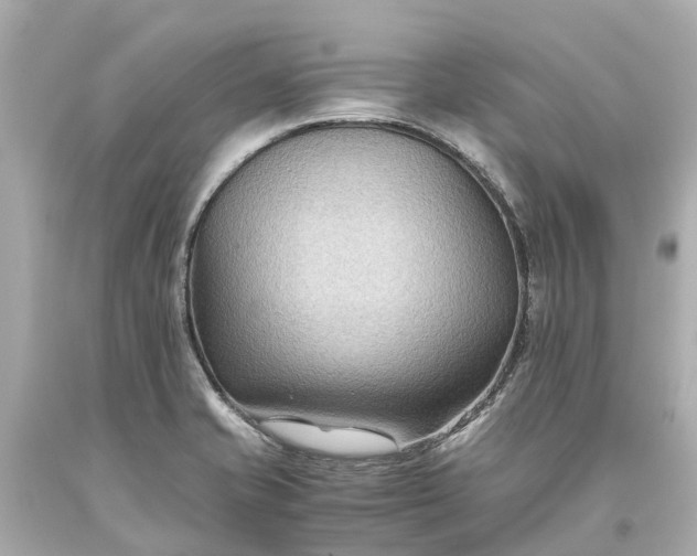 X0000093591421200710291113