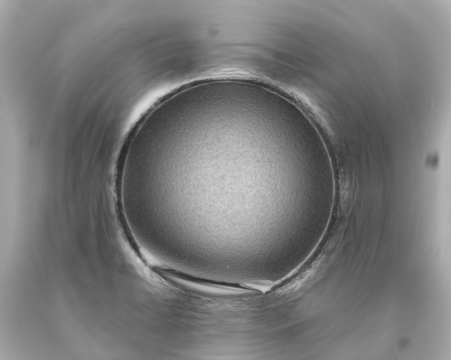 X0000093591422200710291113