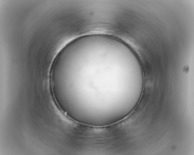 X0000093591423200710291113