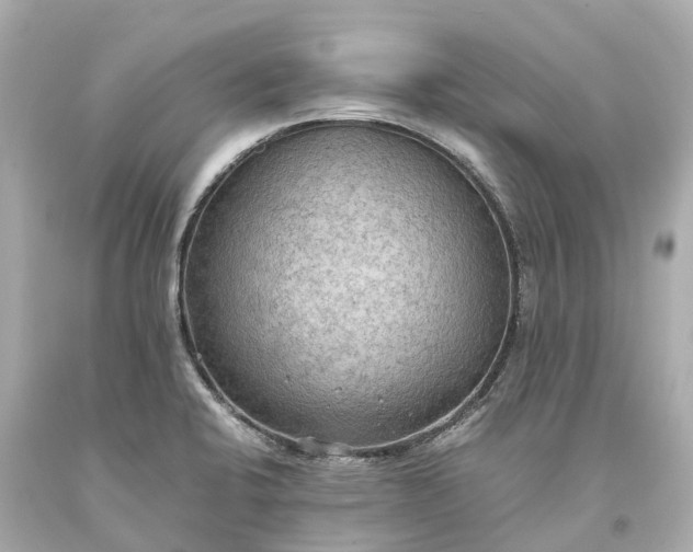 X0000093591424200710291113