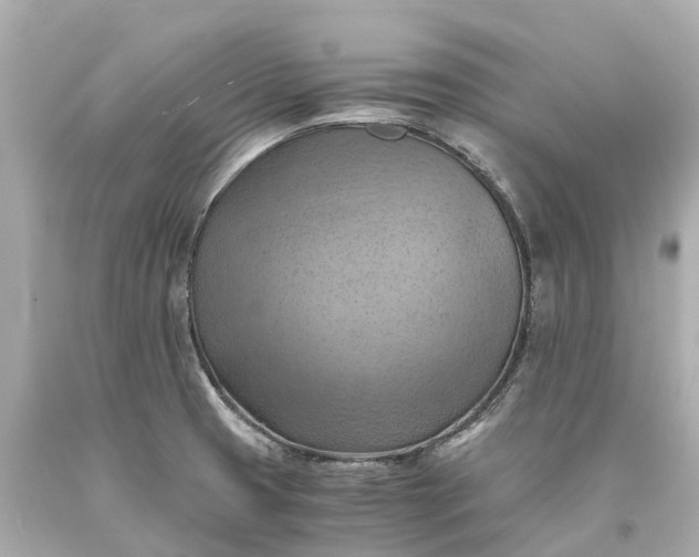 X0000093591425200710291113