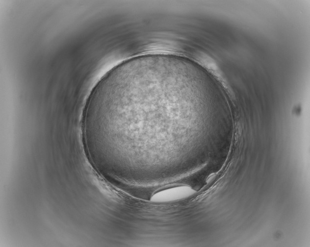 X0000093591427200710291113