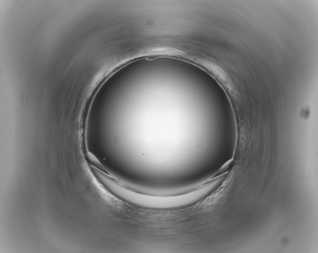 X0000093591430200710291113