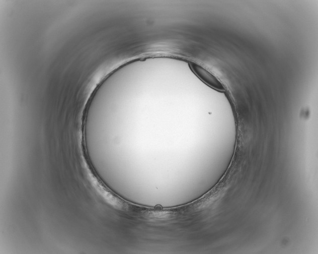 X0000093591431200710291113