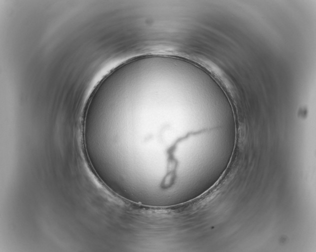 X0000093591432200710291113