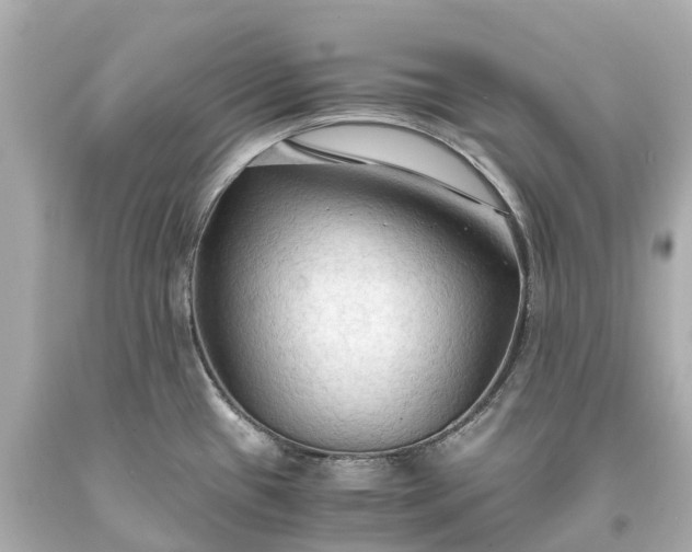 X0000093591433200710291113