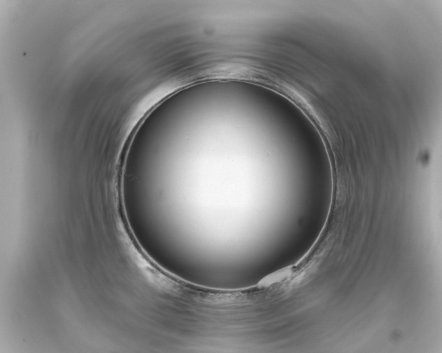 X0000093591434200710291113