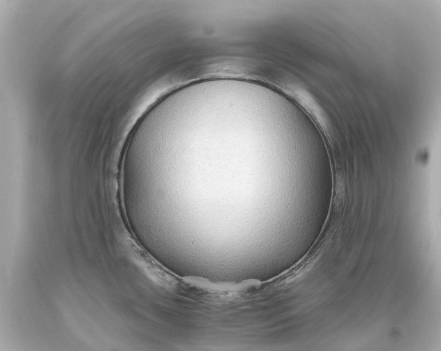 X0000093591435200710291113