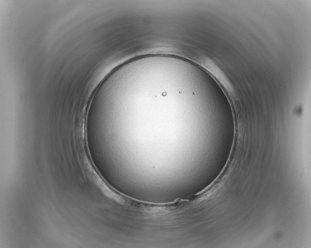 X0000093591436200710291113
