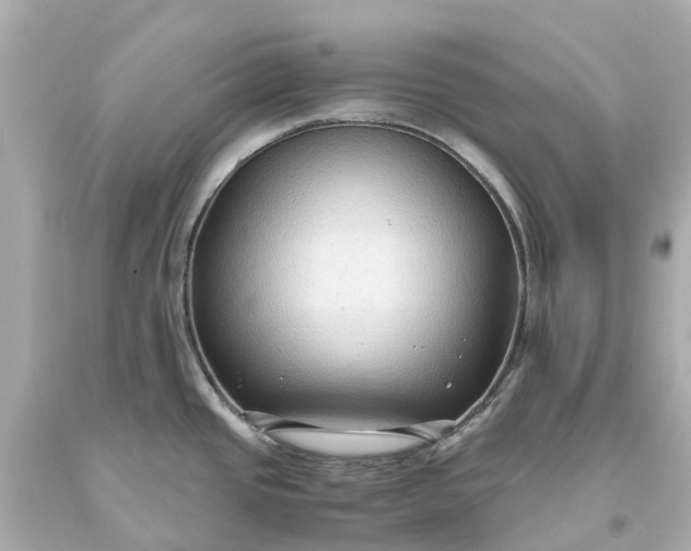 X0000093591437200710291113