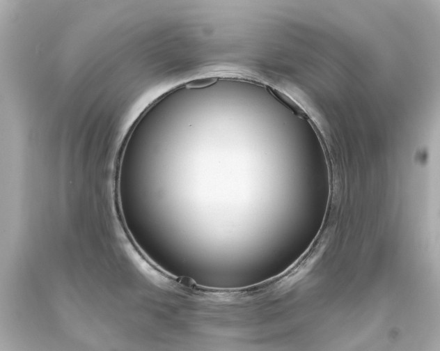X0000093591438200710291113