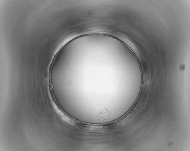 X0000093591439200710291113