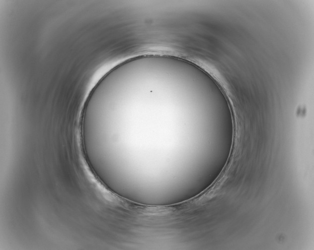 X0000093591440200710291113