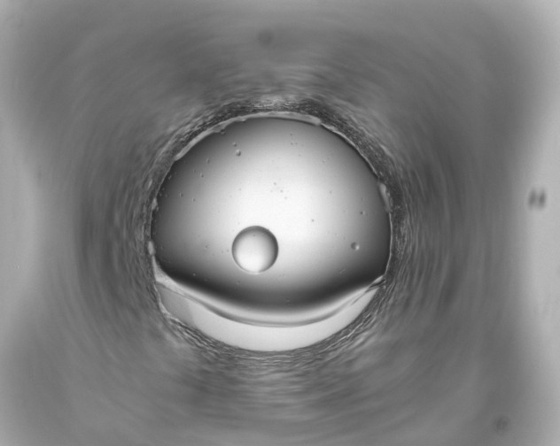 X0000093591441200710291112