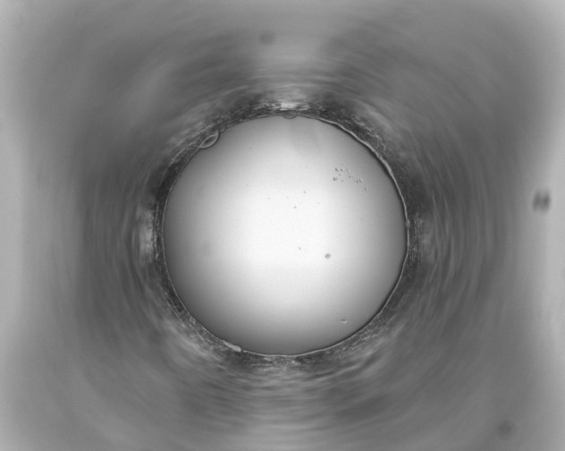 X0000093591442200710291112