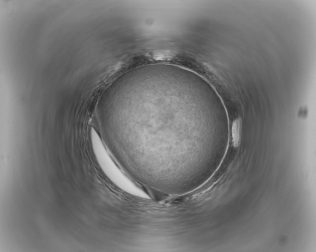 X0000093591443200710291112