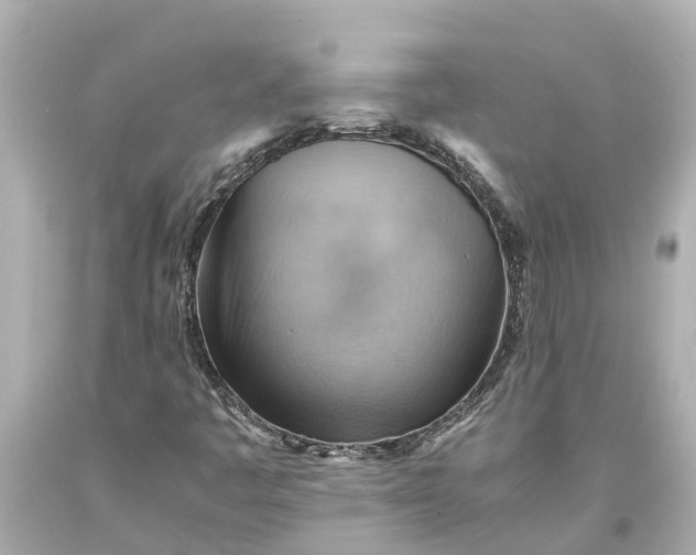 X0000093591445200710291112