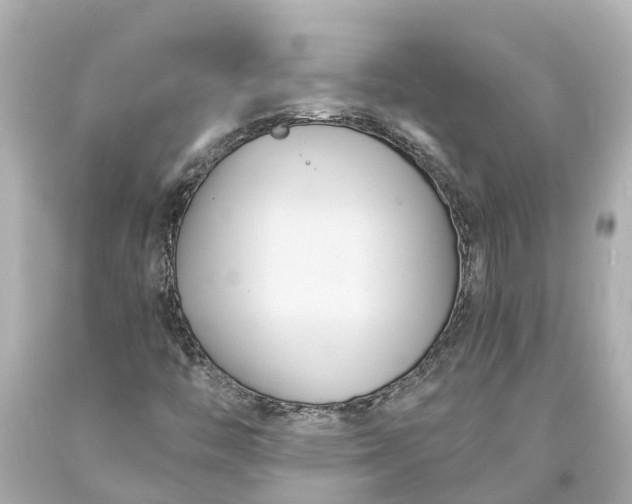 X0000093591446200710291112