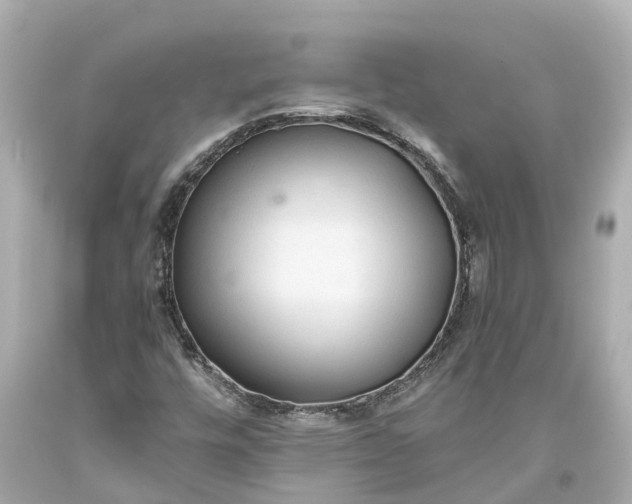 X0000093591448200710291112