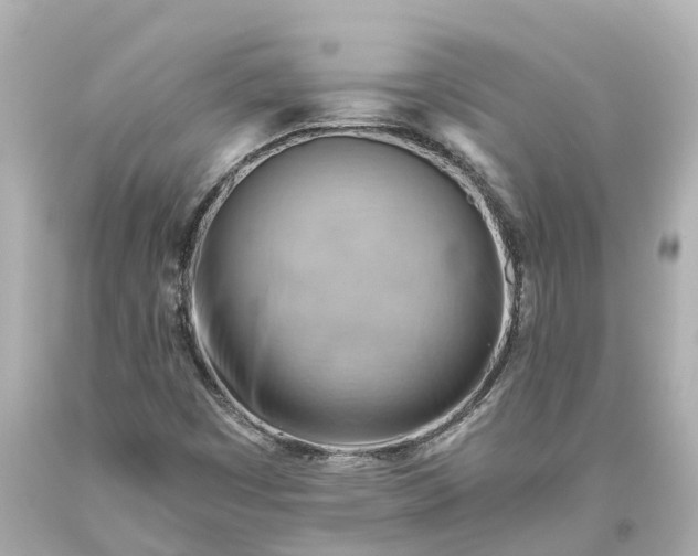 X0000093591449200710291112