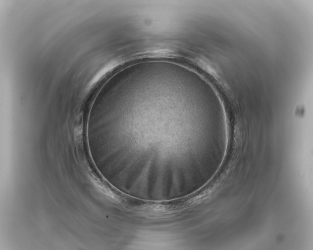 X0000093591450200710291112