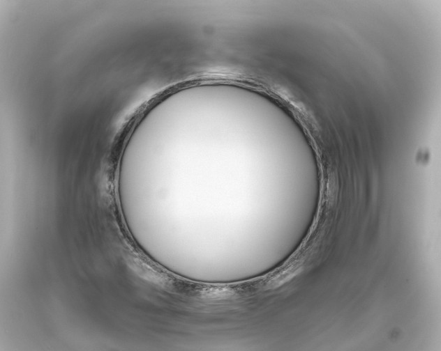 X0000093591454200710291112