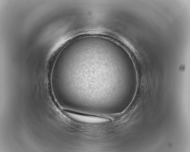 X0000093591456200710291112