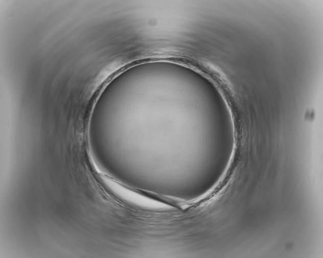 X0000093591457200710291112