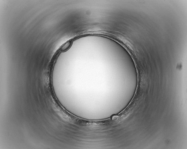 X0000093591458200710291112