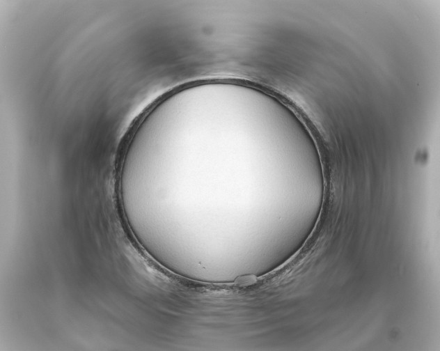 X0000093591460200710291112