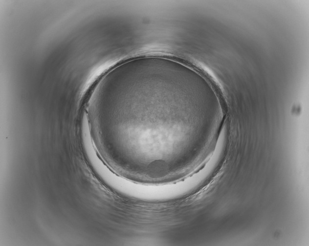 X0000093591461200710291112