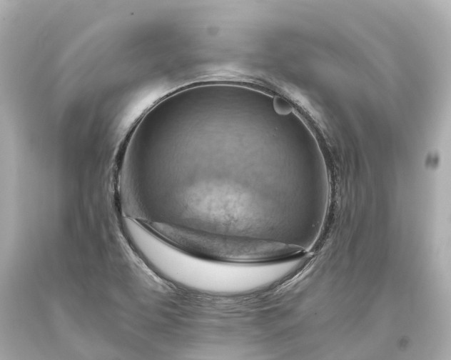 X0000093591463200710291112