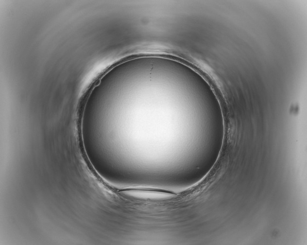 X0000093591464200710291112