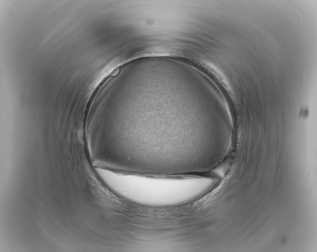 X0000093591465200710291112
