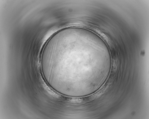 X0000093591466200710291112